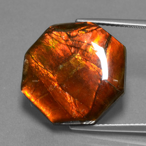 Ammolita multicolorido natural 13,98ct, corte esmeralda, opaco