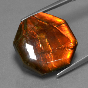 Ammolita multicolorido natural 13,98ct, corte esmeralda, opaco