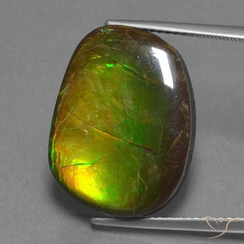 14.13ct Natural Multicolorido amolita, Chique, Opaco
