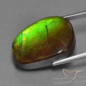 amolita Multicolorido Natural 14.13ct, Chique, Opaco