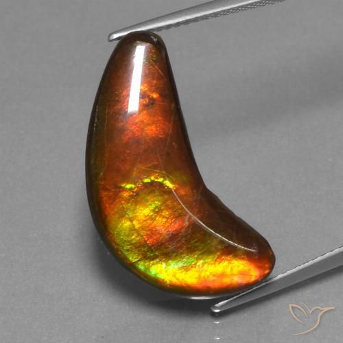 12.08ct Natural Multicolorido amolita, Chique, Opaco