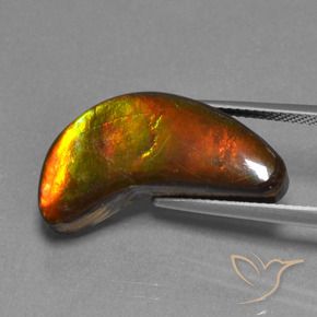amolita Multicolorido Natural 12.08ct, Chique, Opaco