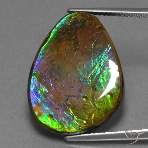 17.46ct Natural Multicolorido amolita, Chique, Opaco