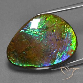 amolita Multicolorido Natural 17.46ct, Chique, Opaco