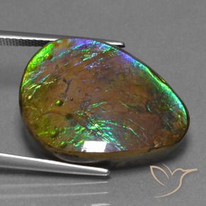 amolita Multicolorido Natural 17.46ct, Chique, Opaco
