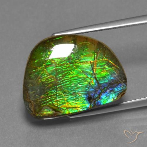 12.44ct Natural Multicolorido amolita, Chique, Opaco