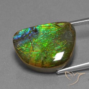 amolita Multicolorido Natural 12.44ct, Chique, Opaco