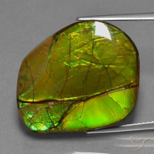 21.26ct Natural Multicolorido amolita, Chique, Opaco