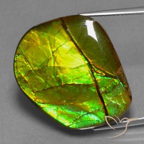amolita Multicolorido Natural 21.26ct, Chique, Opaco