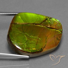 amolita Multicolorido Natural 21.26ct, Chique, Opaco