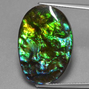 Ammolita multicolorido natural 20,31ct, forma extravagante, opaco