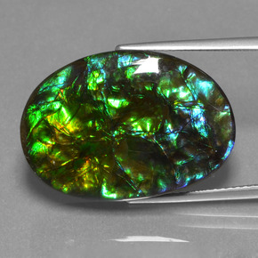 Ammolita multicolorido natural 20,31ct, forma extravagante, opaco