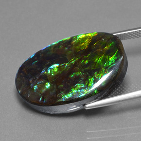 Ammolita multicolorido natural 20,31ct, forma extravagante, opaco