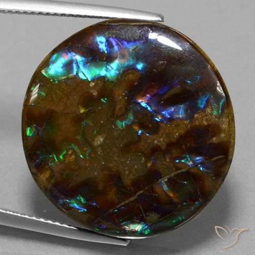 27.20ct Natural Multicolorido amolita, Redondo, Opaco