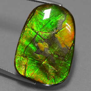 Ammolita multicolorido natural 24,20ct, forma extravagante, opaco