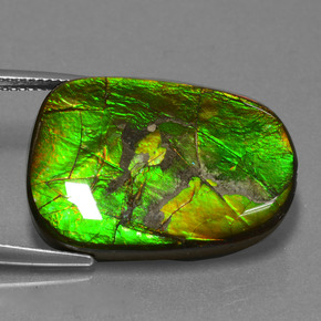 Ammolita multicolorido natural 24,20ct, forma extravagante, opaco