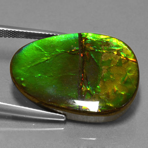 Ammolita multicolorido natural 24,70ct, forma extravagante, opaco