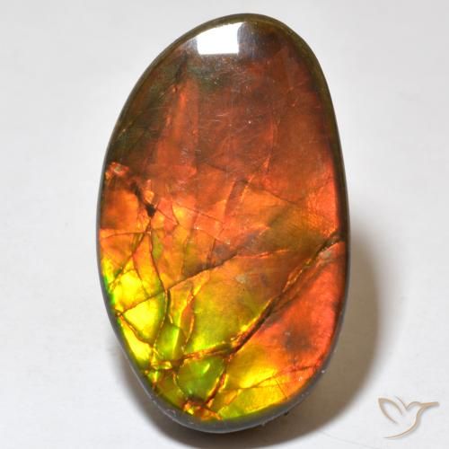 21.93ct Natural Multicolorido amolita, Chique, Opaco