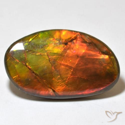 amolita Multicolorido Natural 21.93ct, Chique, Opaco