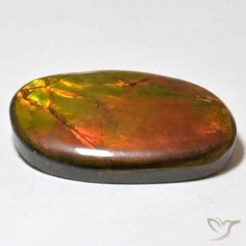 amolita Multicolorido Natural 21.93ct, Chique, Opaco