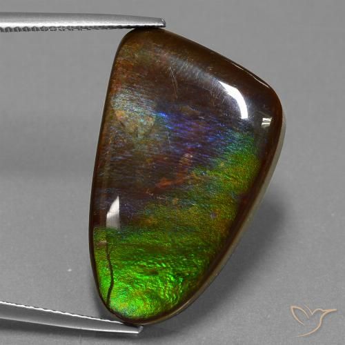 22.78ct Natural Multicolorido amolita, Chique, Opaco