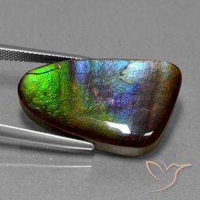 amolita Multicolorido Natural 22.78ct, Chique, Opaco