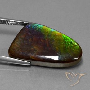 amolita Multicolorido Natural 22.78ct, Chique, Opaco