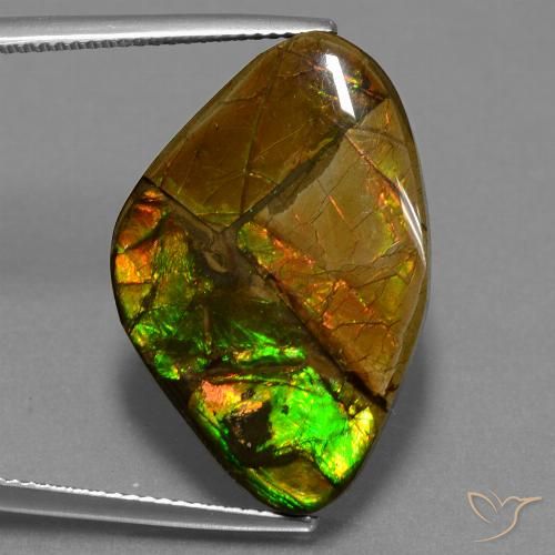 18.98ct Natural Multicolorido amolita, Chique, Opaco