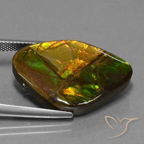 amolita Multicolorido Natural 18.98ct, Chique, Opaco