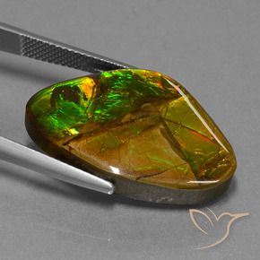 amolita Multicolorido Natural 18.98ct, Chique, Opaco