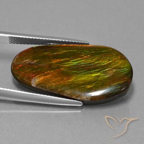 amolita Multicolorido Natural 18.71ct, Chique, Opaco