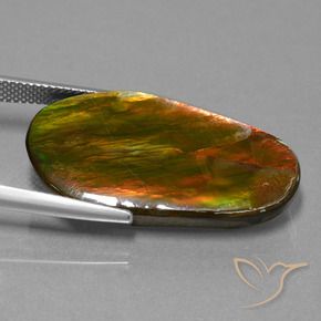 amolita Multicolorido Natural 18.71ct, Chique, Opaco