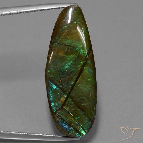 14.36ct Natural Multicolorido amolita, Chique, Opaco