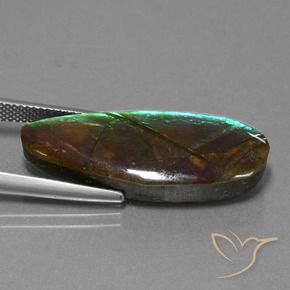 amolita Multicolorido Natural 14.36ct, Chique, Opaco