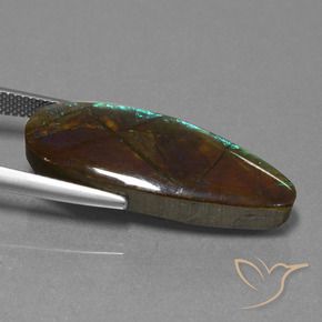 amolita Multicolorido Natural 14.36ct, Chique, Opaco