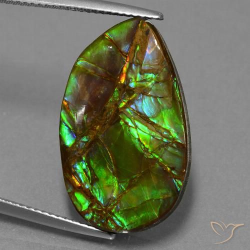 18.19ct Natural Multicolorido amolita, Chique, Opaco