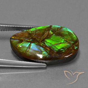 amolita Multicolorido Natural 18.19ct, Chique, Opaco