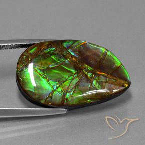 amolita Multicolorido Natural 18.19ct, Chique, Opaco