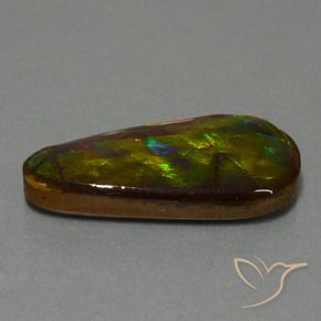 amolita Multicolorido Natural 21.09ct, Chique, Opaco