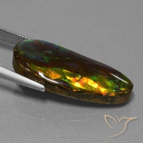 amolita Multicolorido Natural 21.09ct, Chique, Opaco