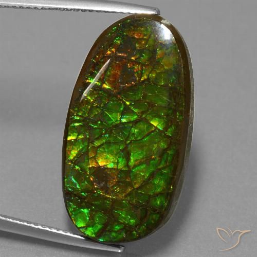 21.50ct Natural Multicolorido amolita, Chique, Opaco