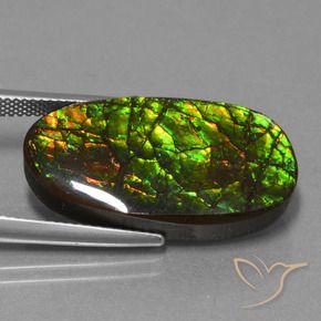 amolita Multicolorido Natural 21.50ct, Chique, Opaco