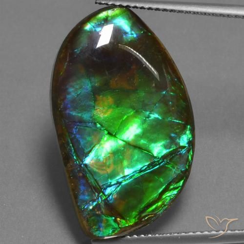 17.95ct Natural Multicolorido amolita, Chique, Opaco