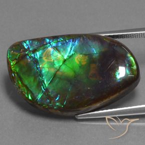 amolita Multicolorido Natural 17.95ct, Chique, Opaco