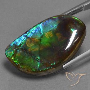 amolita Multicolorido Natural 17.95ct, Chique, Opaco