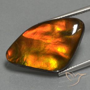 amolita Multicolorido Natural 17.24ct, Chique, Opaco