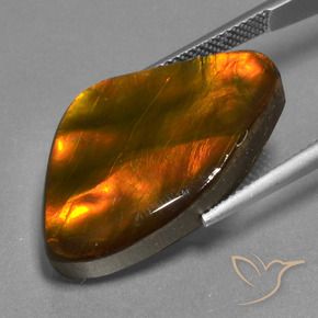 amolita Multicolorido Natural 17.24ct, Chique, Opaco