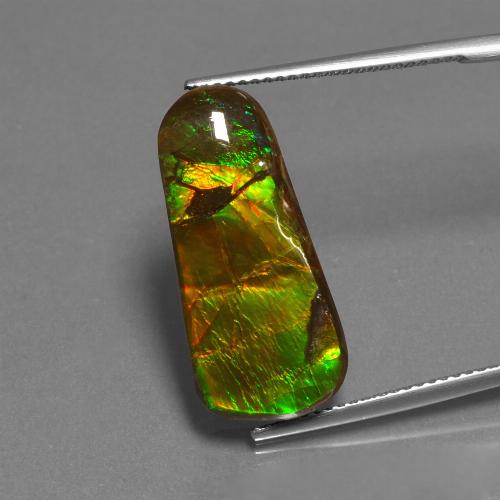 Ammolita multicolorido natural 11,73ct, forma extravagante, opaco