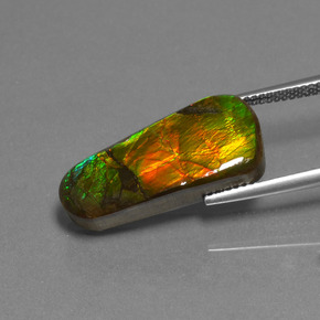 Ammolita multicolorido natural 11,73ct, forma extravagante, opaco