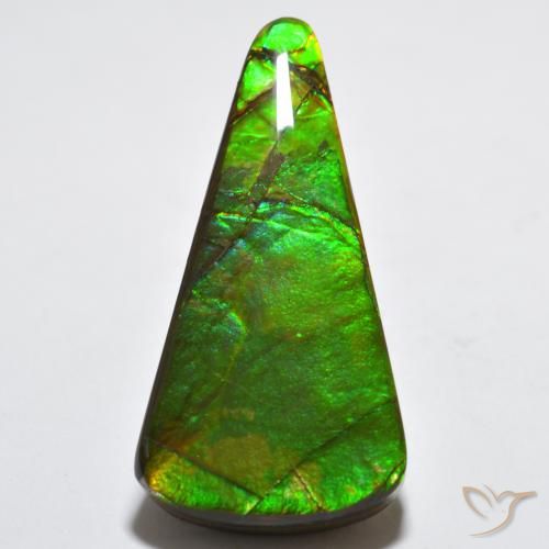 15.83ct Natural Multicolorido amolita, Trilhão, Opaco